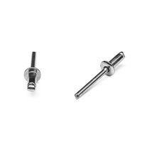 Popnit fzb 4,8x10mm kullrig öp. 250p ANS